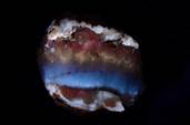 sloUVDSC_2402CALCITE_RAINBOW12